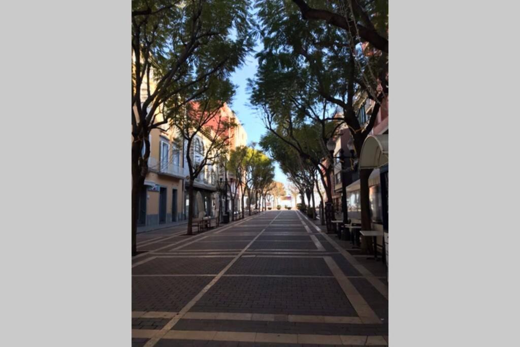 Nuevo Apartamento Moderno Elisa - A 80 Metros De La Playa Para 5 Personas ซานต์เฟลิอูเดกีโซลส์ ภายนอก รูปภาพ